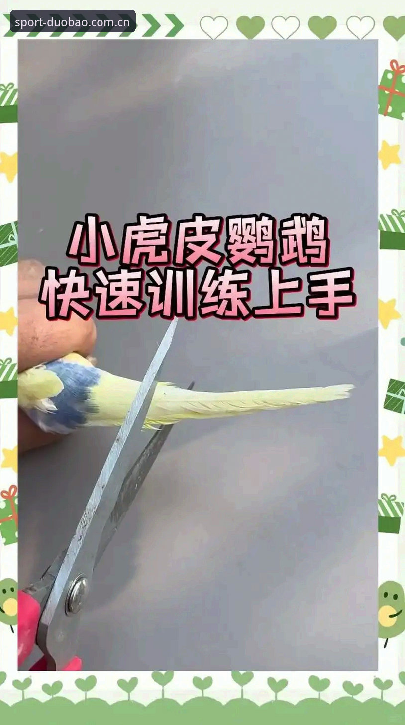 从新手到老鸟：掌握多宝体育手机下载官方下载的5个关键技巧